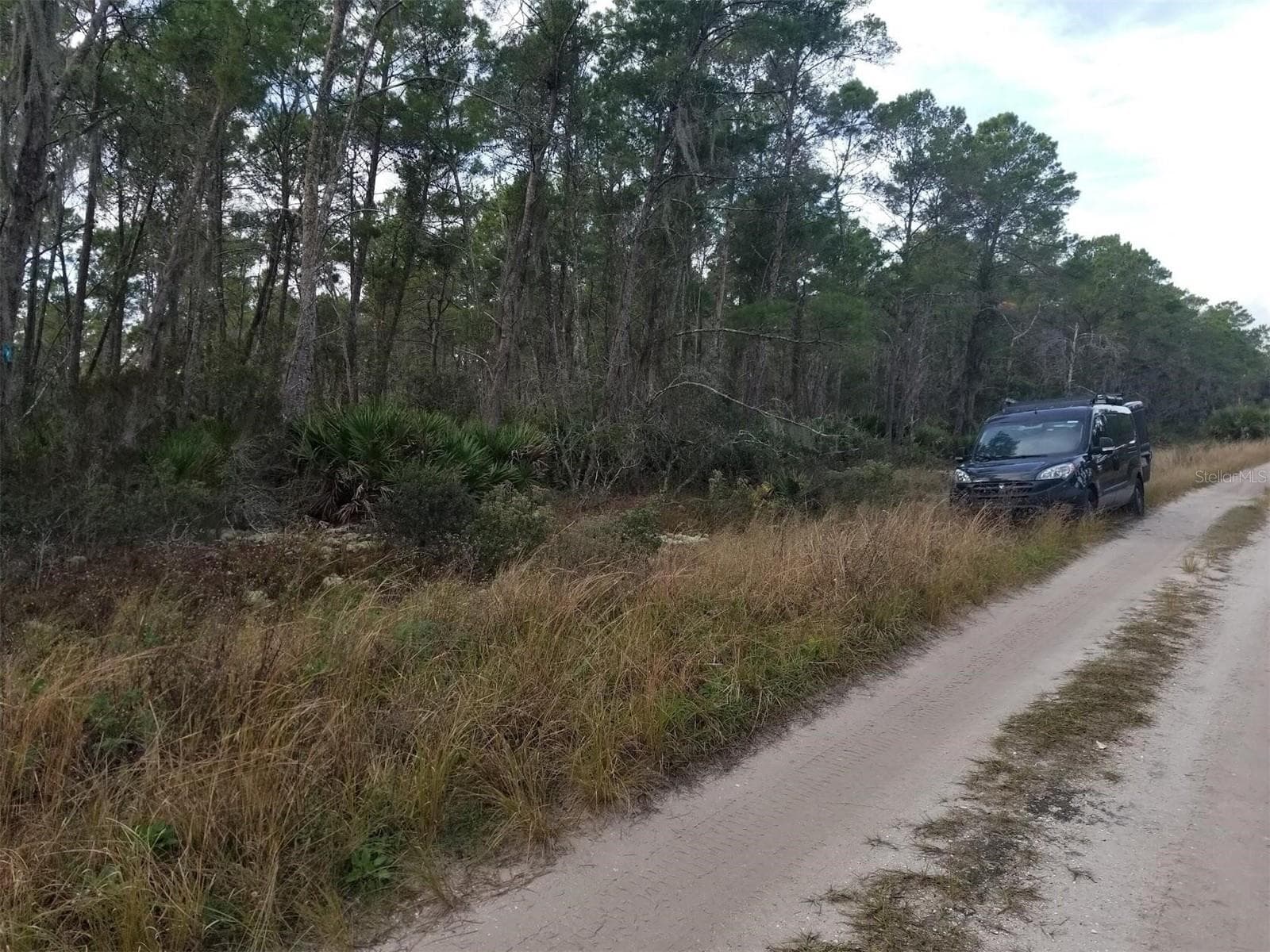 Land at 455 HUMMINGBIRD AVE, SEBRING, photo 3 of 7