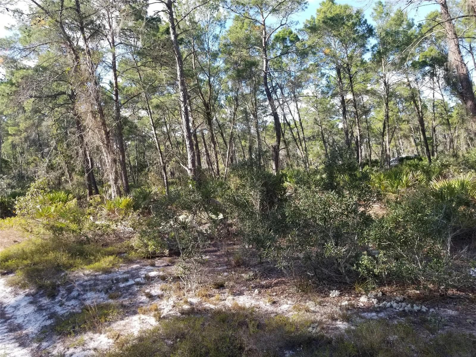Land at 455 HUMMINGBIRD AVE, SEBRING, photo 7 of 7