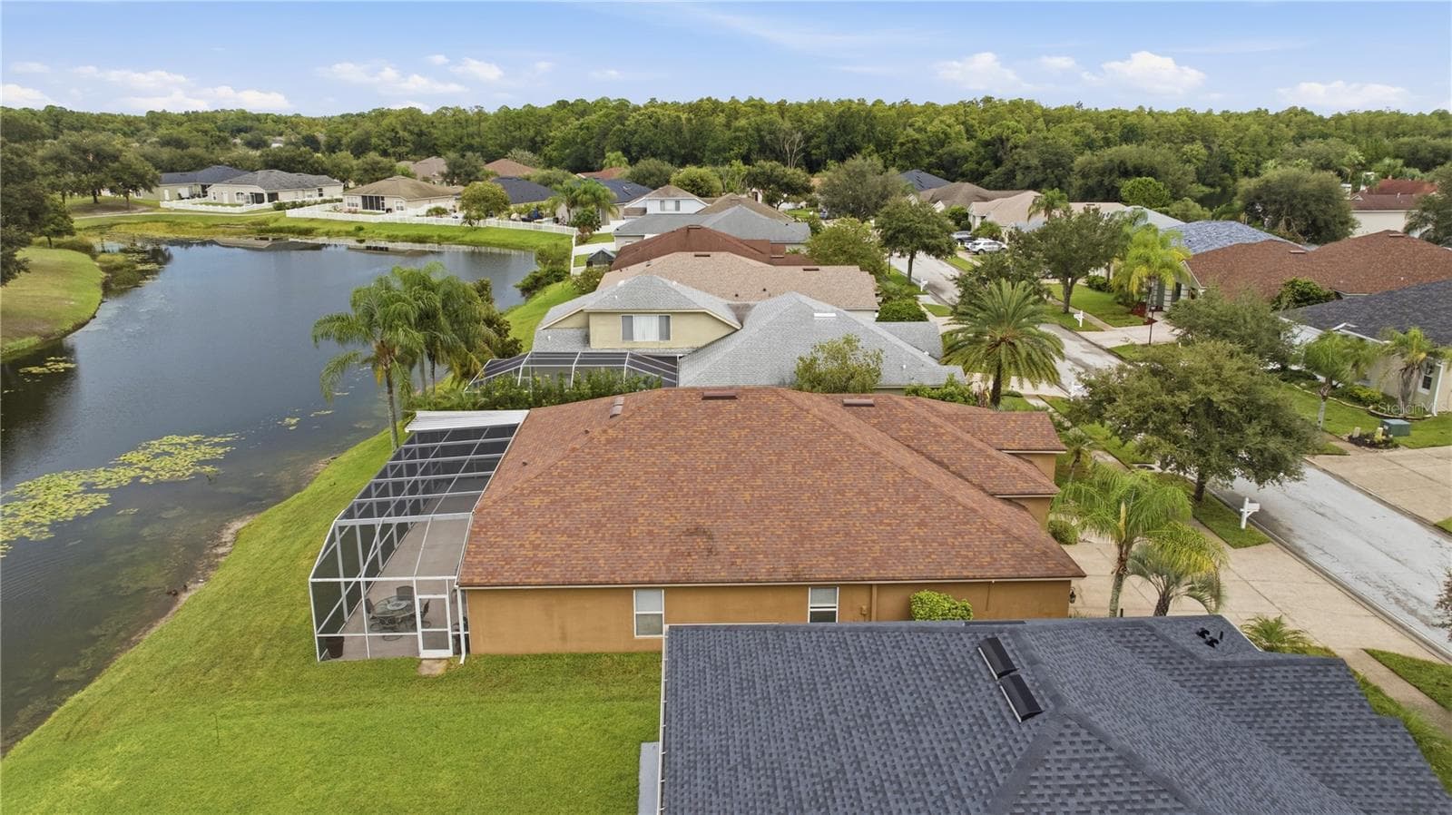 Single Family Residence at 25843 RISEN STAR DR, WESLEY CHAPEL, photo 47 of 57
