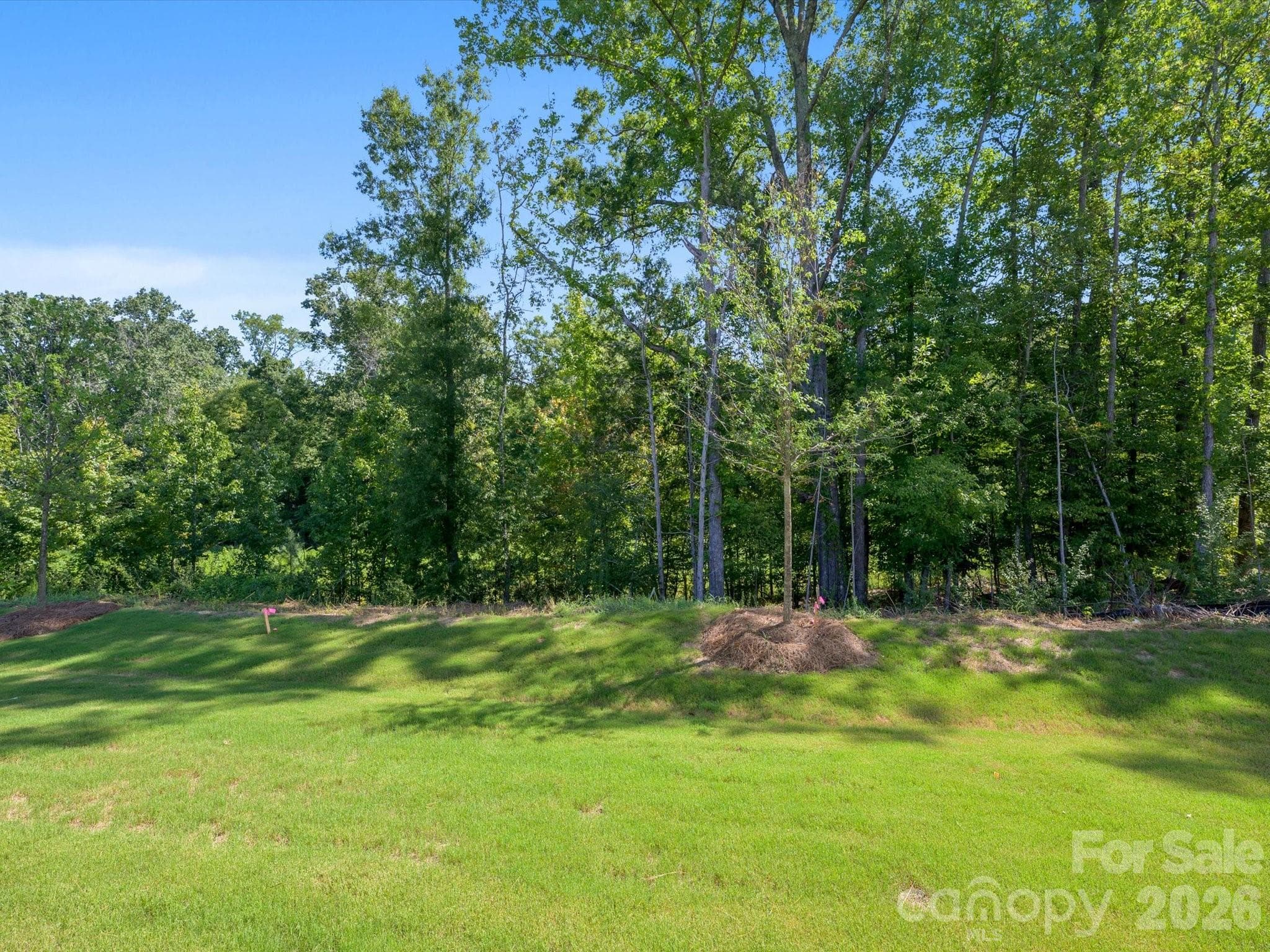 Backyard overlooks protected nature preserve - 280 Alluvium Lane, Waxhaw