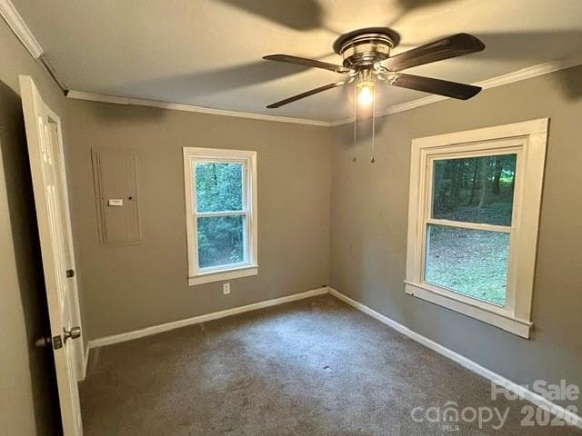 BR3 - 62 Kinard Lane, Penrose