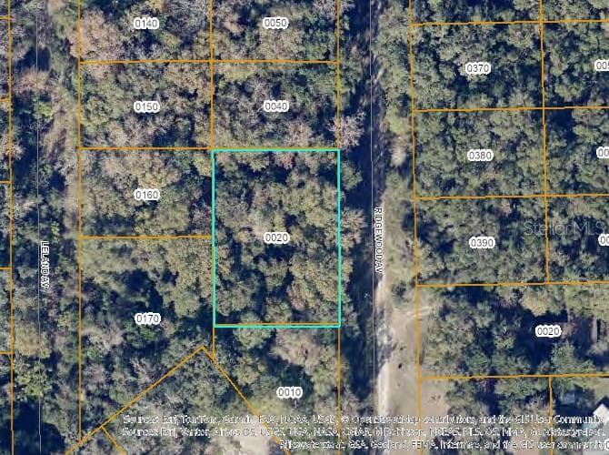 Land at TBD RIDGEWOOD AVE, DE LEON SPRINGS, photo 2 of 3