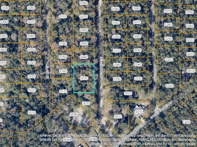 Land at TBD RIDGEWOOD AVE, DE LEON SPRINGS, photo 3 of 3