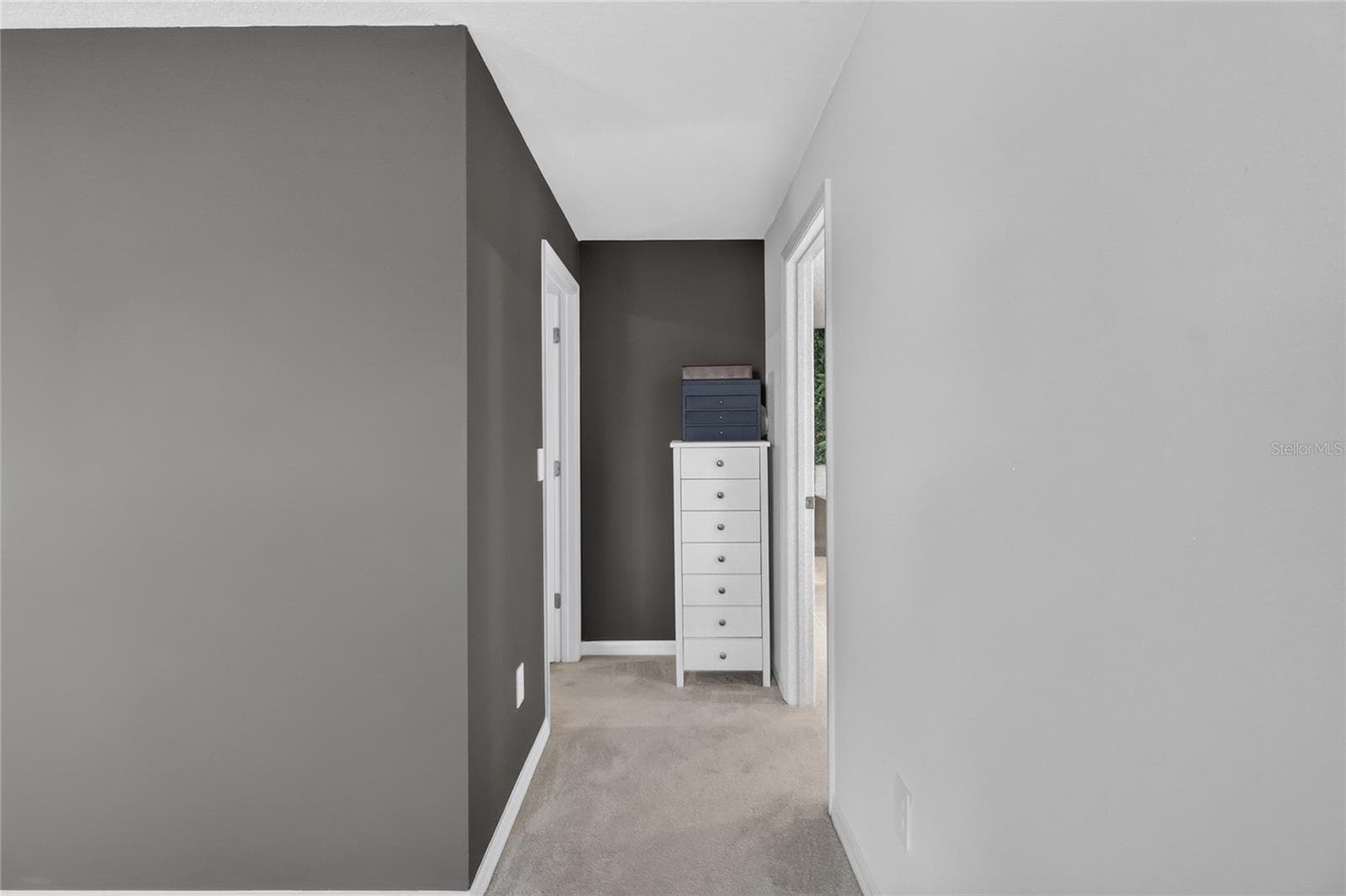 Hallway to primary bathroom - 36227 JOSEPH BLAKE ST, ZEPHYRHILLS
