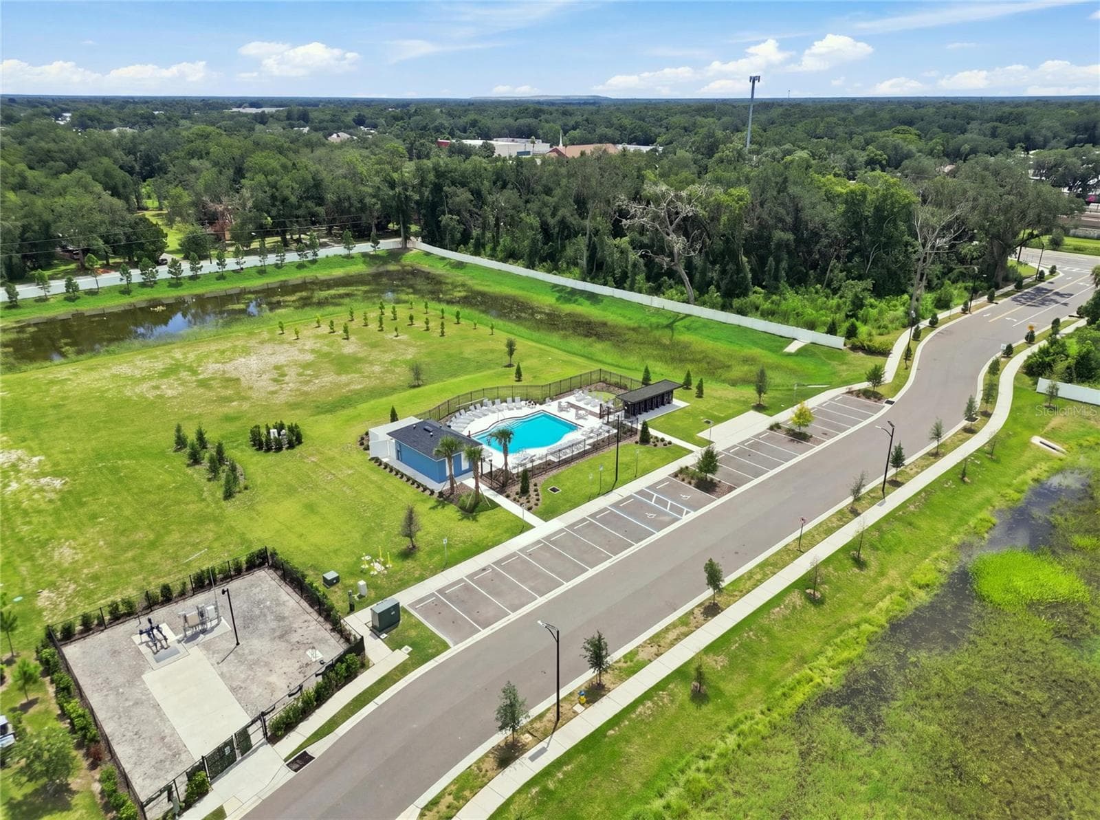 Community pool - 36227 JOSEPH BLAKE ST, ZEPHYRHILLS