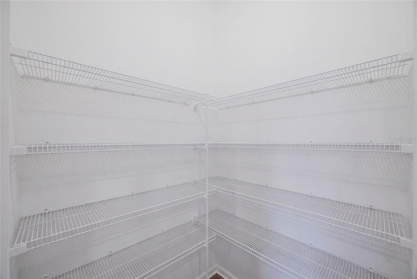 HUGE Walk-in Pantry - 17218 STAR BANKS ST, WIMAUMA