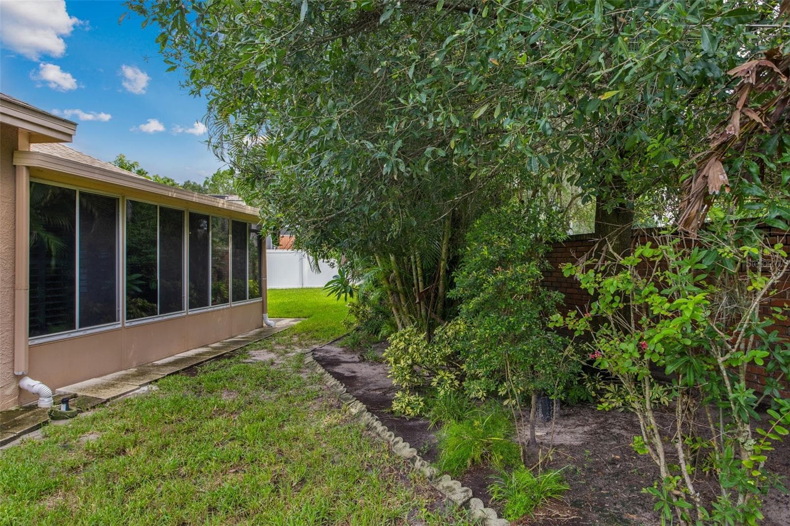 Rear Yard - 9703 HIDDEN COVE CT, TAMPA