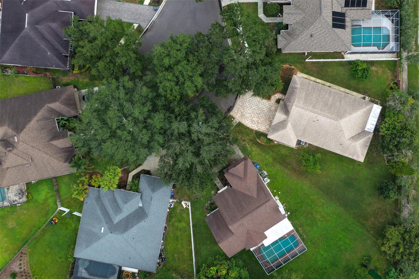 Single Family Residence at 9703 HIDDEN COVE CT, TAMPA, photo 36 of 45