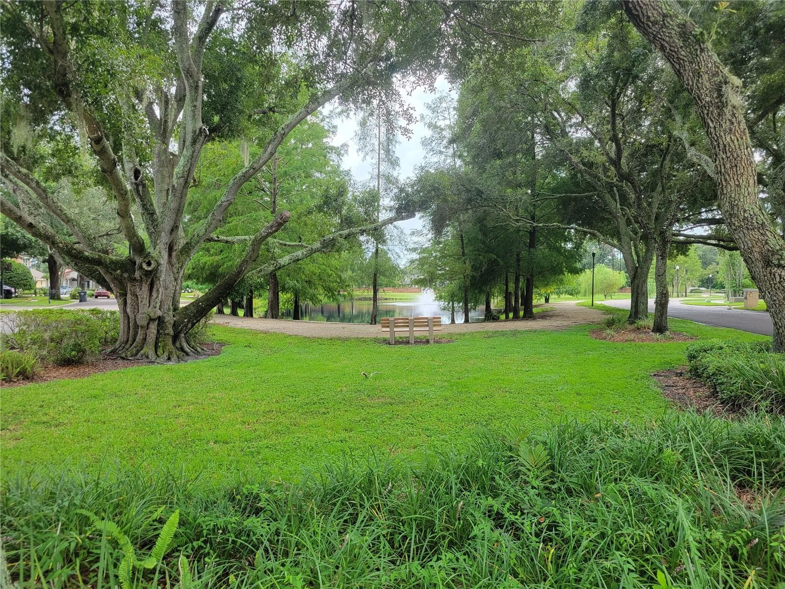 Walking Trail - 9703 HIDDEN COVE CT, TAMPA