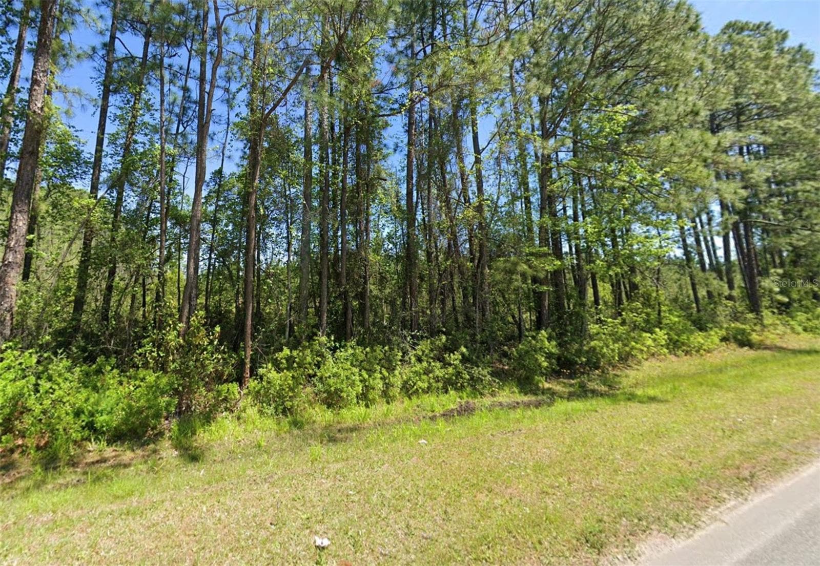 Land at 4739 COUNTY ROAD 218 RD, MIDDLEBURG, photo 2 of 5