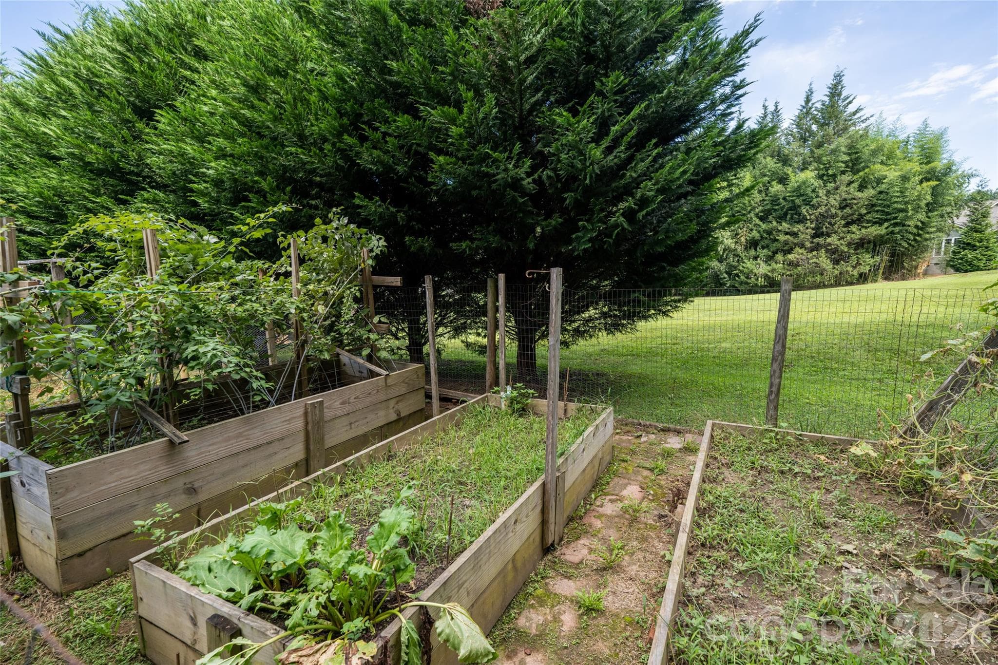 Single Family Residence at 40 Meadow Drive, Horse Shoe, photo 45 of 48