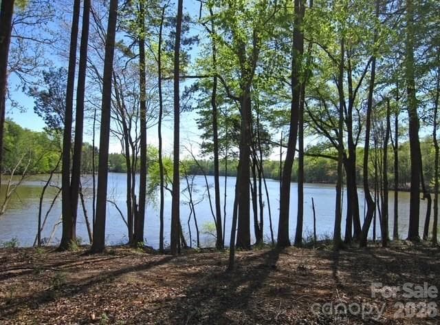 Spring Views - 4004 La Crema Drive, Charlotte