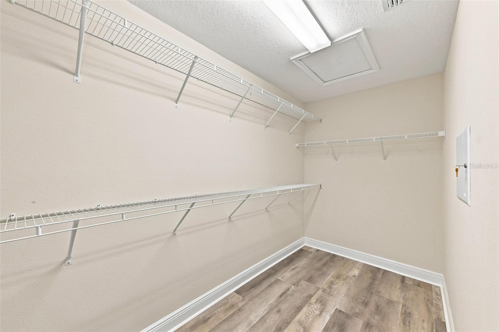 Primary Closet - 17871 STELLA MOON PL, LUTZ