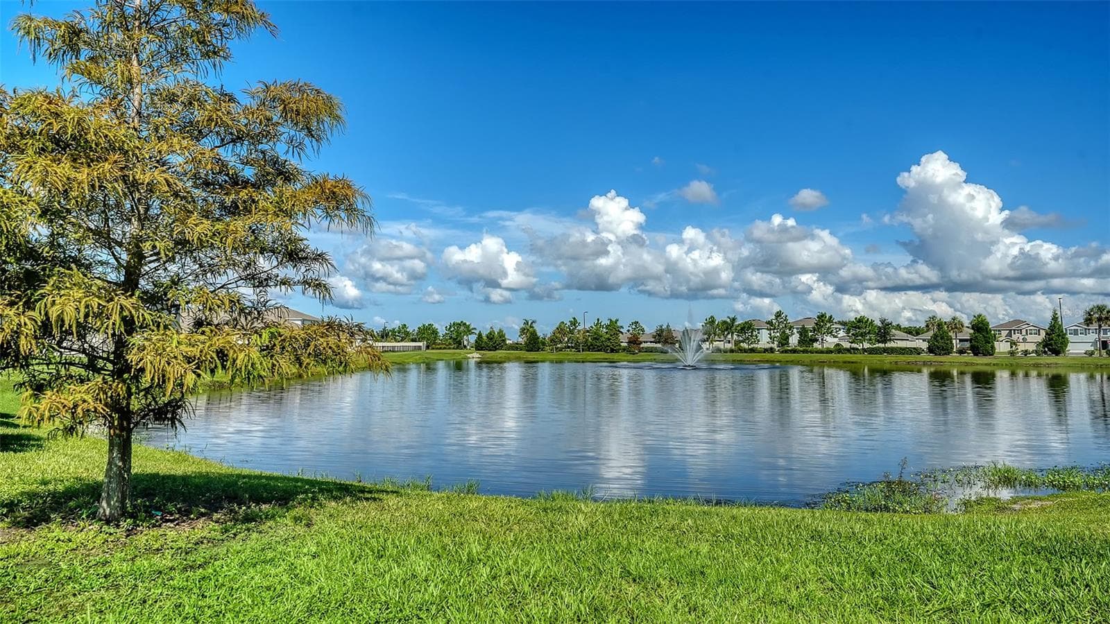 This is the view from the front door looking across the street at a beautiful pond. There are no homes directly across the street. - 10402 CHARLOTTE DR, PARRISH