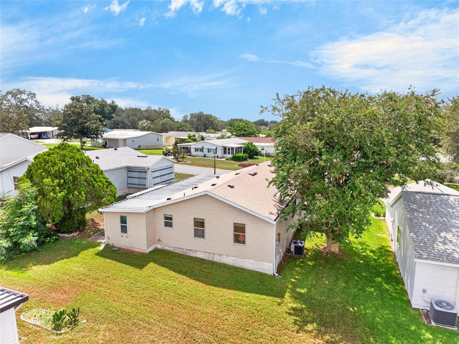 Back Yard - 1207 PALMETTO DR, THE VILLAGES