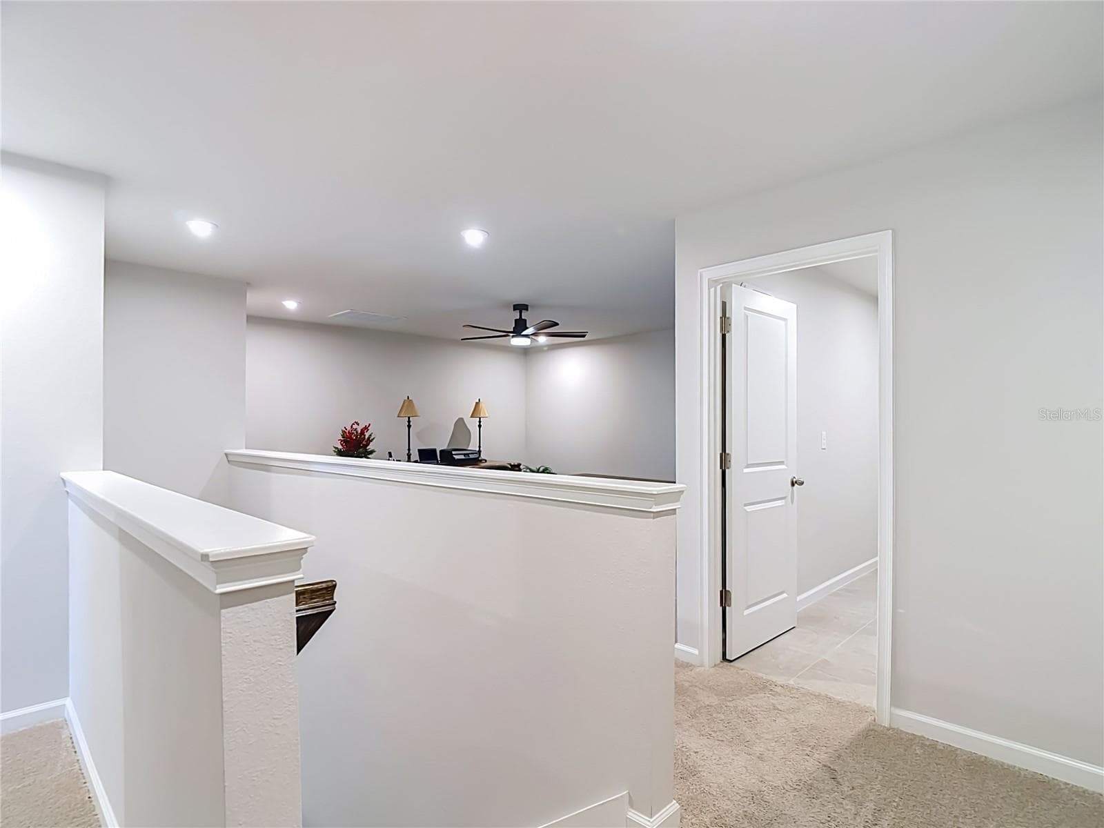 Loft - 2376 AUDUBON PRESERVE LN, LUTZ
