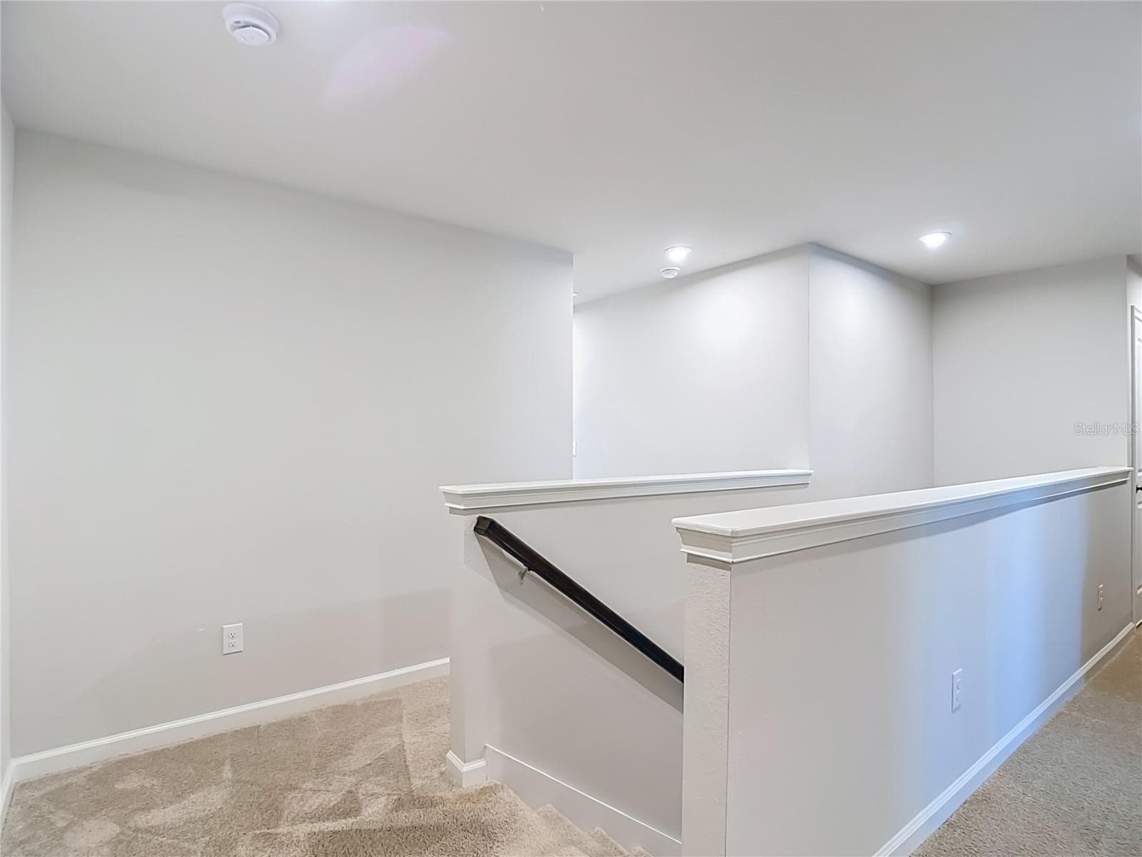 Loft - 2376 AUDUBON PRESERVE LN, LUTZ