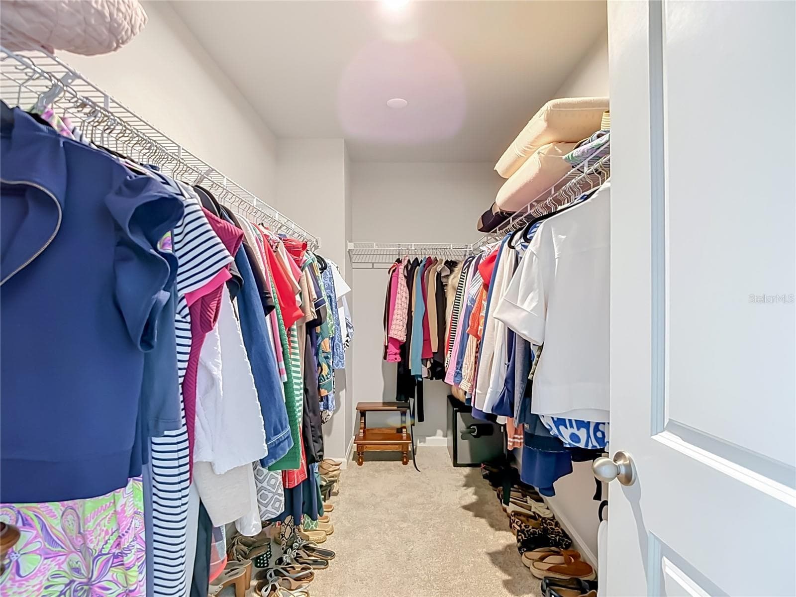 Primary Bedroom Walk In Closet - 2376 AUDUBON PRESERVE LN, LUTZ