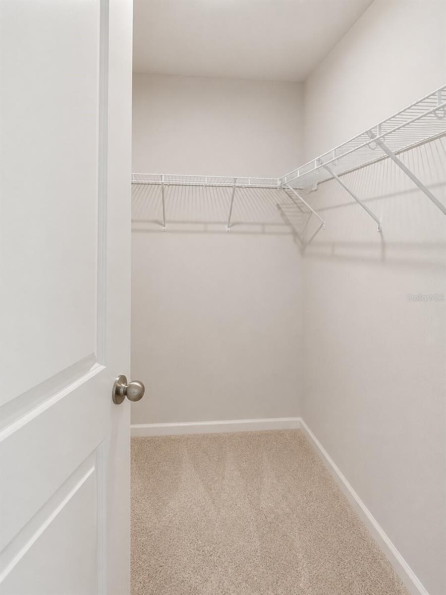 Primary Bedroom 2nd Closet - 2376 AUDUBON PRESERVE LN, LUTZ