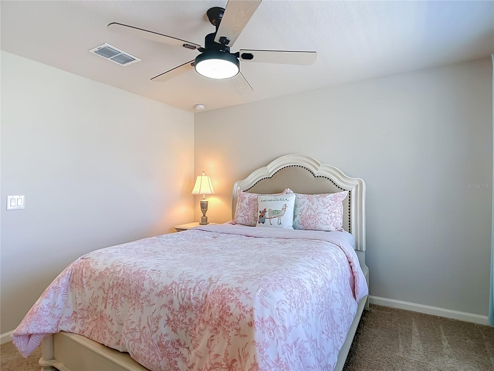 3rd Bedroom - 2376 AUDUBON PRESERVE LN, LUTZ