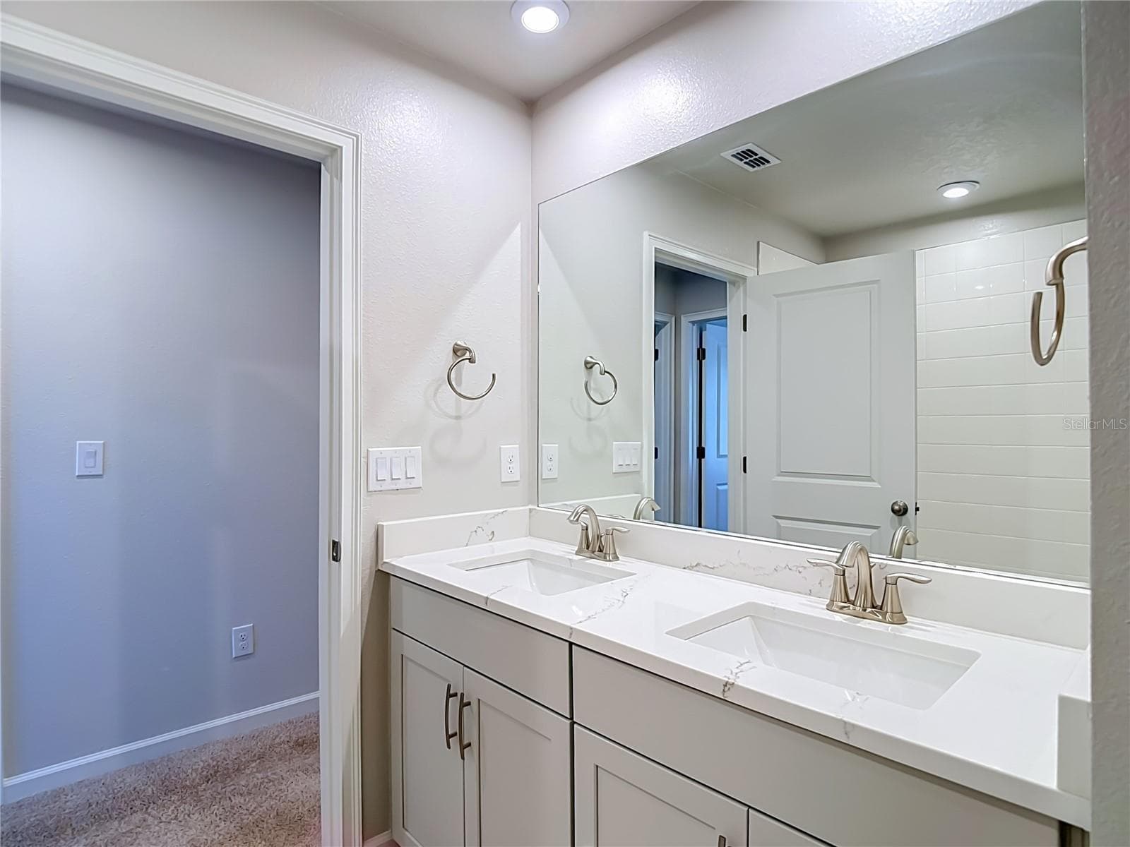 2nd Bathroom - 2376 AUDUBON PRESERVE LN, LUTZ