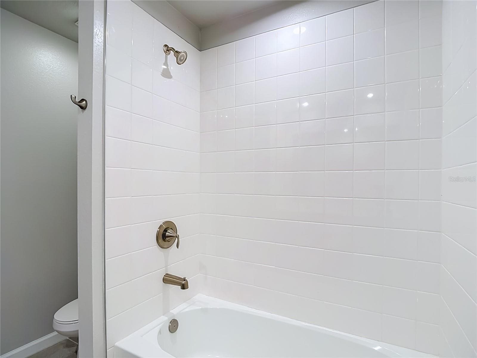 2nd Bathroom - 2376 AUDUBON PRESERVE LN, LUTZ