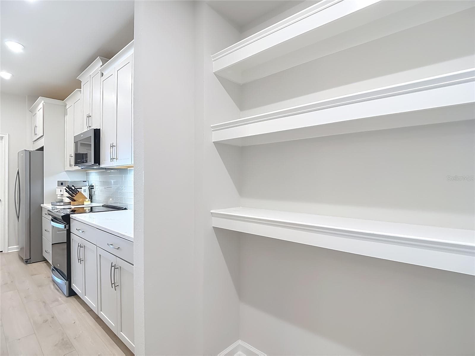 Townhouse at 2376 AUDUBON PRESERVE LN, LUTZ, photo 50 of 66