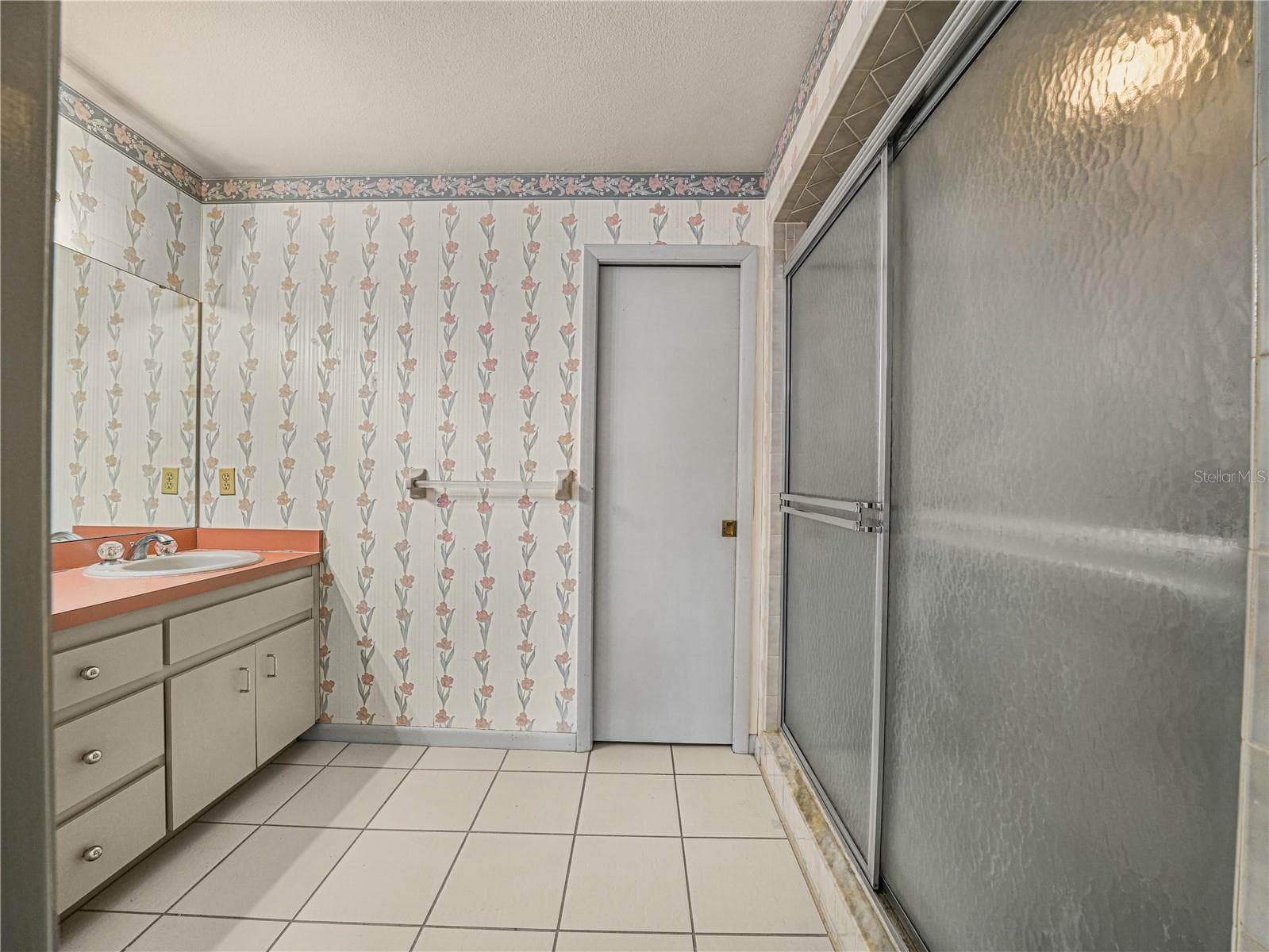 Main Bathroom with walk in shower - 6050 LUNN RD, LAKELAND