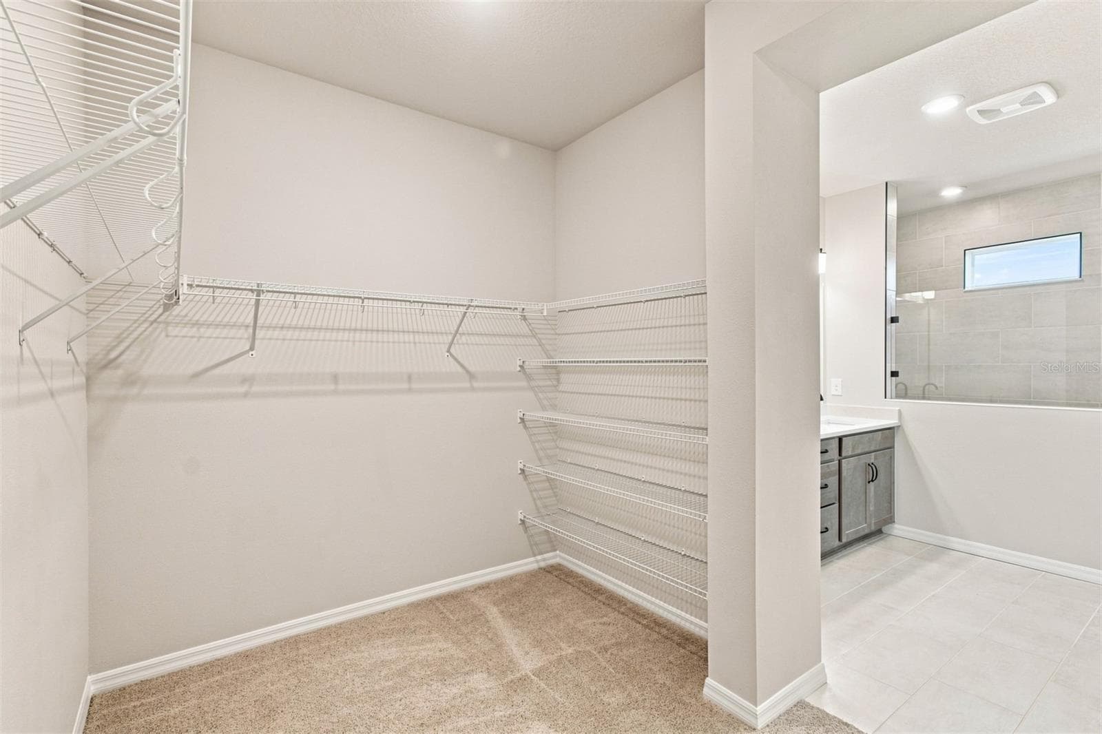 Owner's Closet - 314 STETSON RISE CT, PLANT CITY