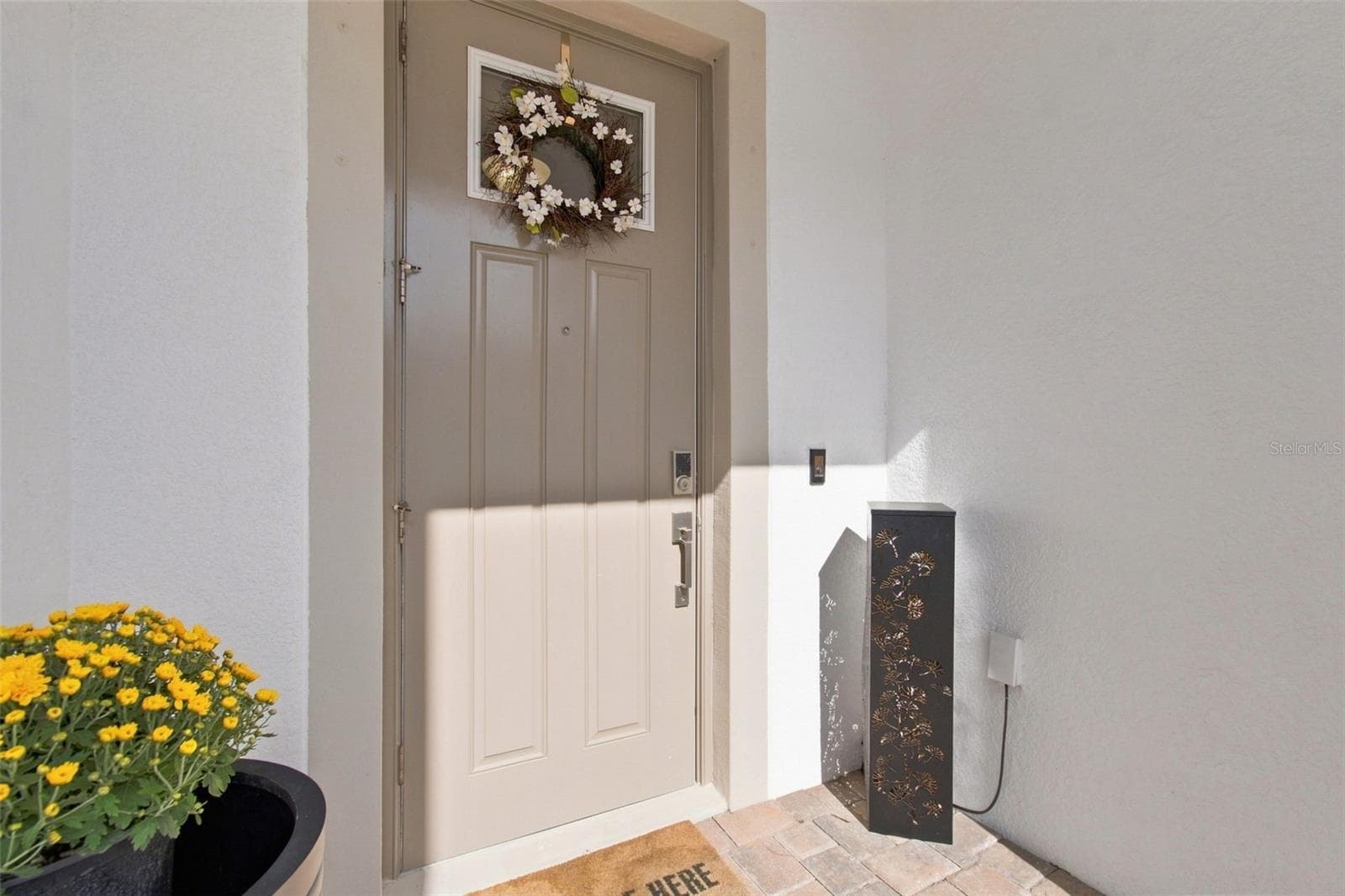 Door - 18623 NOBLE CASPIAN DR, LUTZ