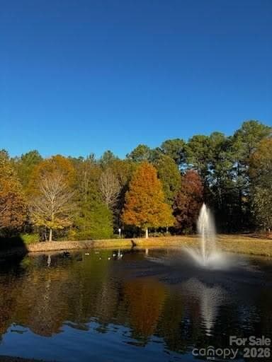 Beautiful pond seconds from home - 12117 Harrison Steel Drive, Charlotte