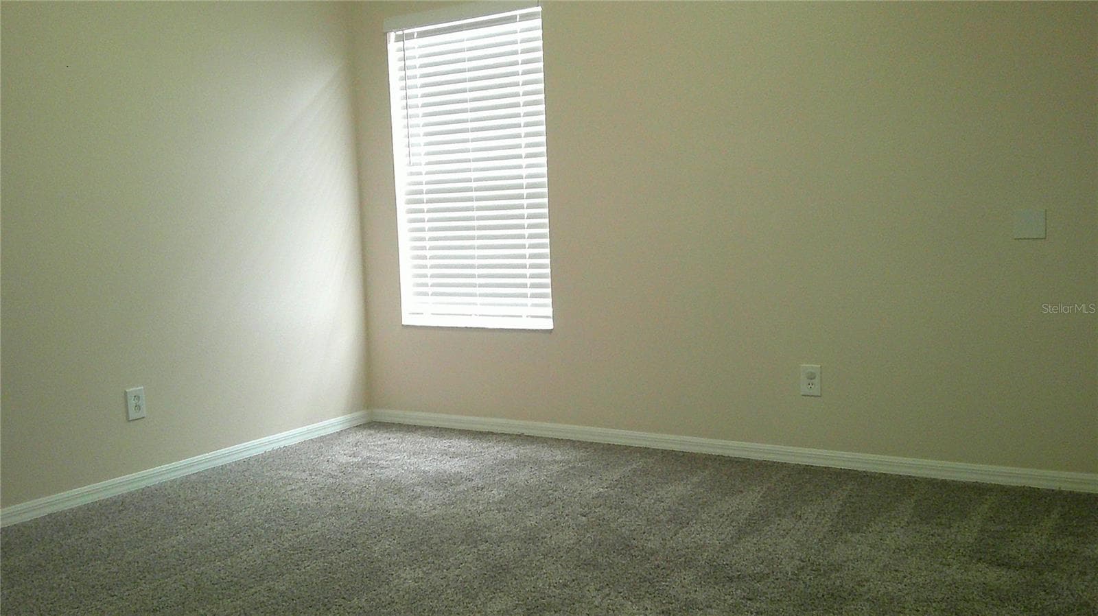 Townhouse at 5718 FISHHAWK RIDGE DR, LITHIA, photo 18 of 26