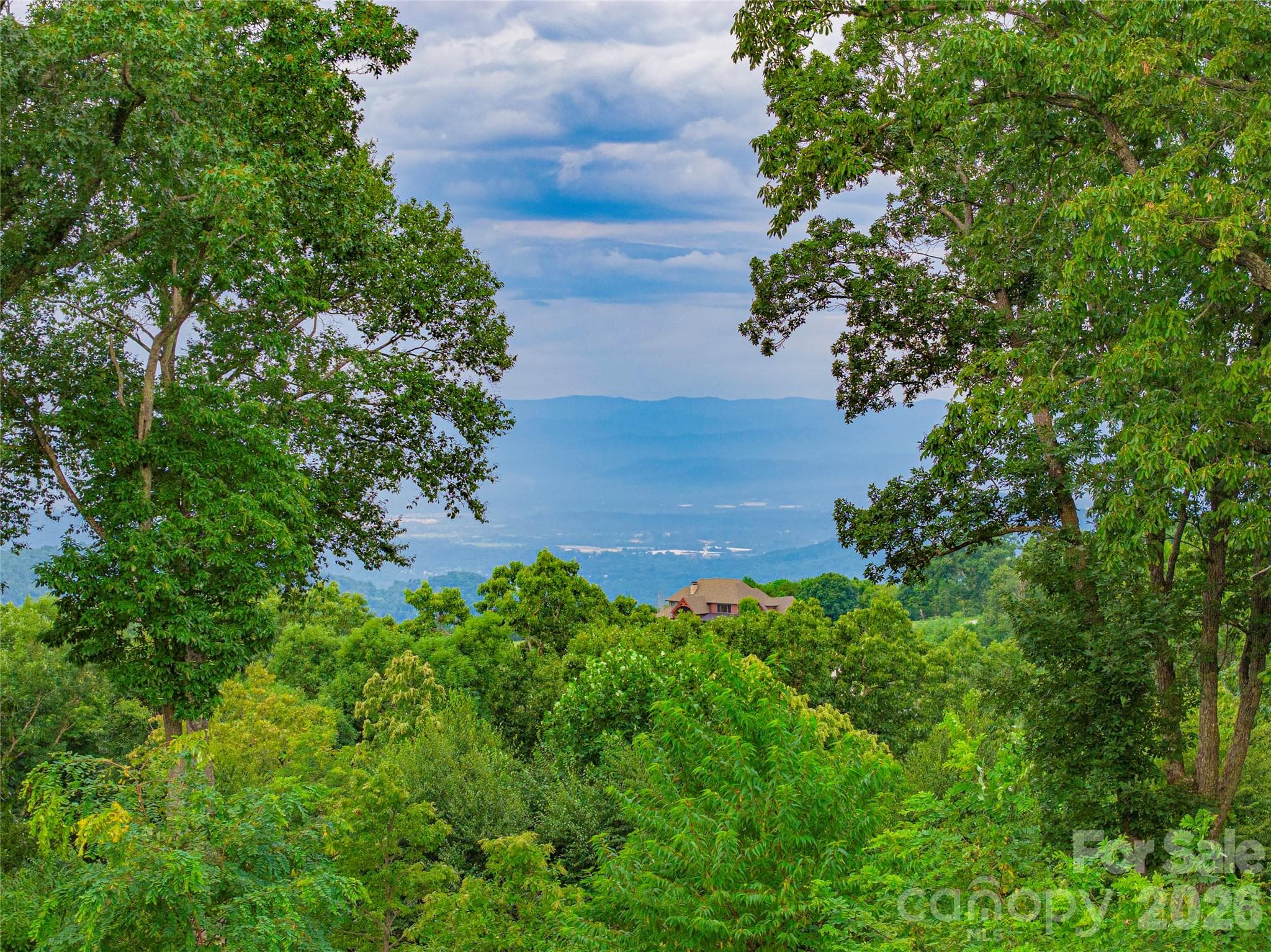 View through the trees, feet on the road - Hendersonville