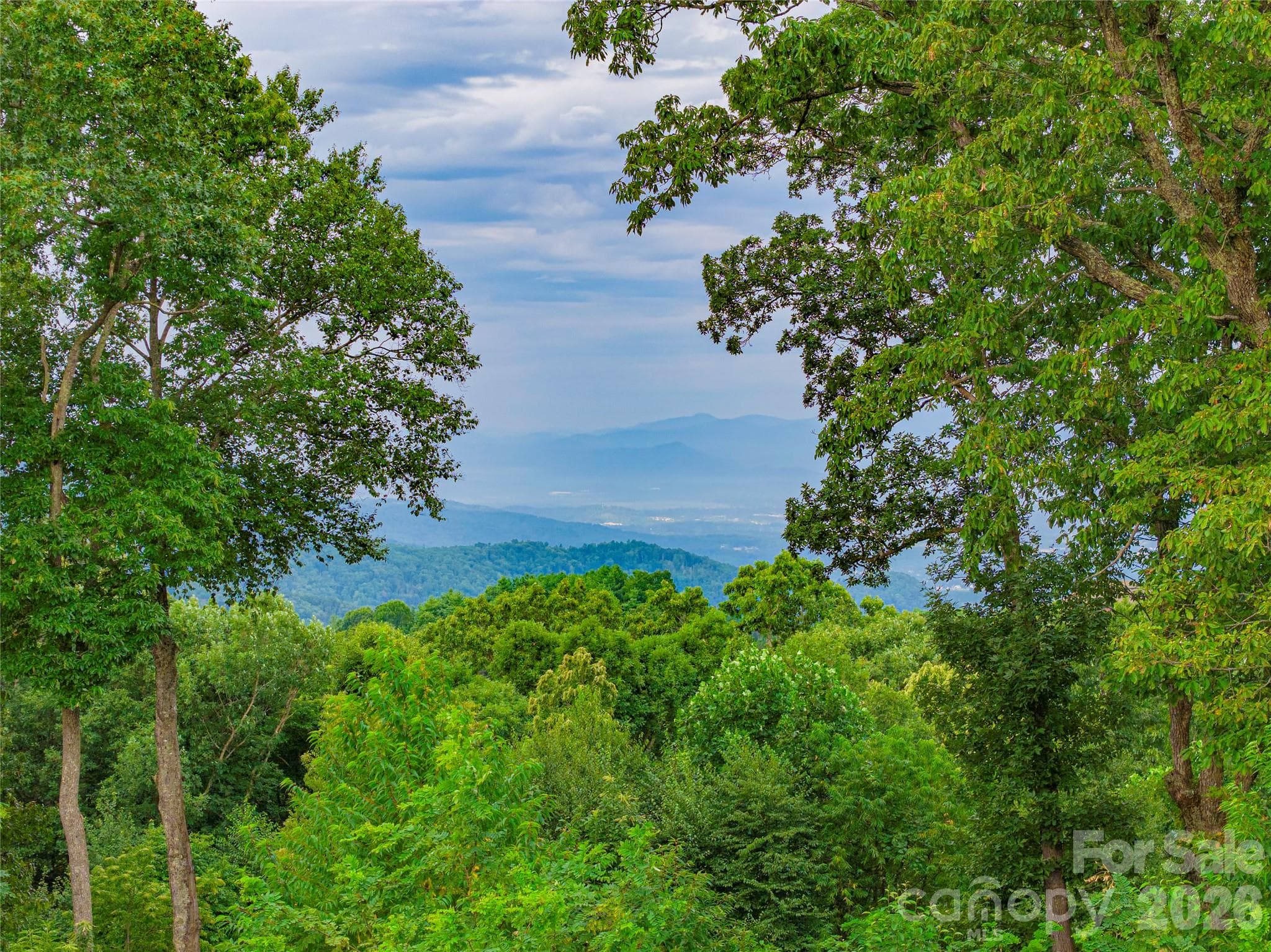 Lot at Lot #90 Summerset Drive, Hendersonville, photo 19 of 28