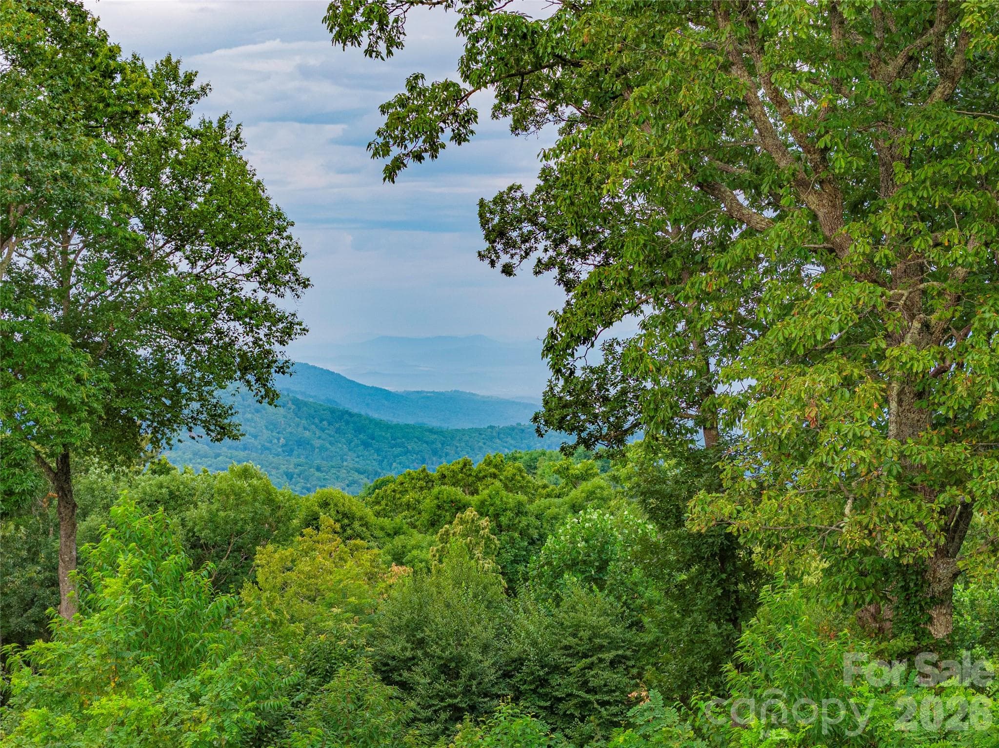 From the parcel in Summer. She's all grown up. - Hendersonville