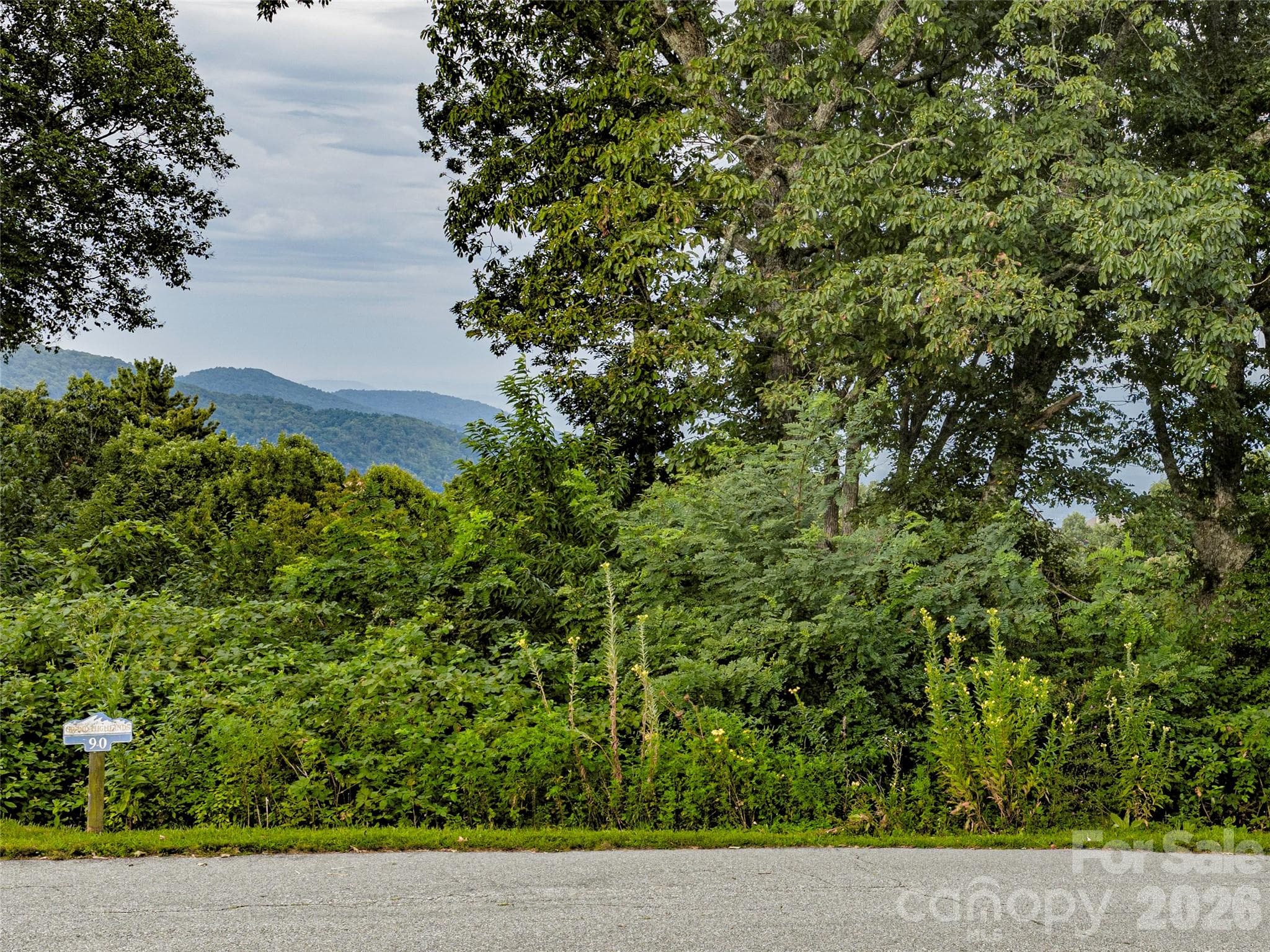 Feet on the ground - Lot #90 Summerset Drive, Hendersonville