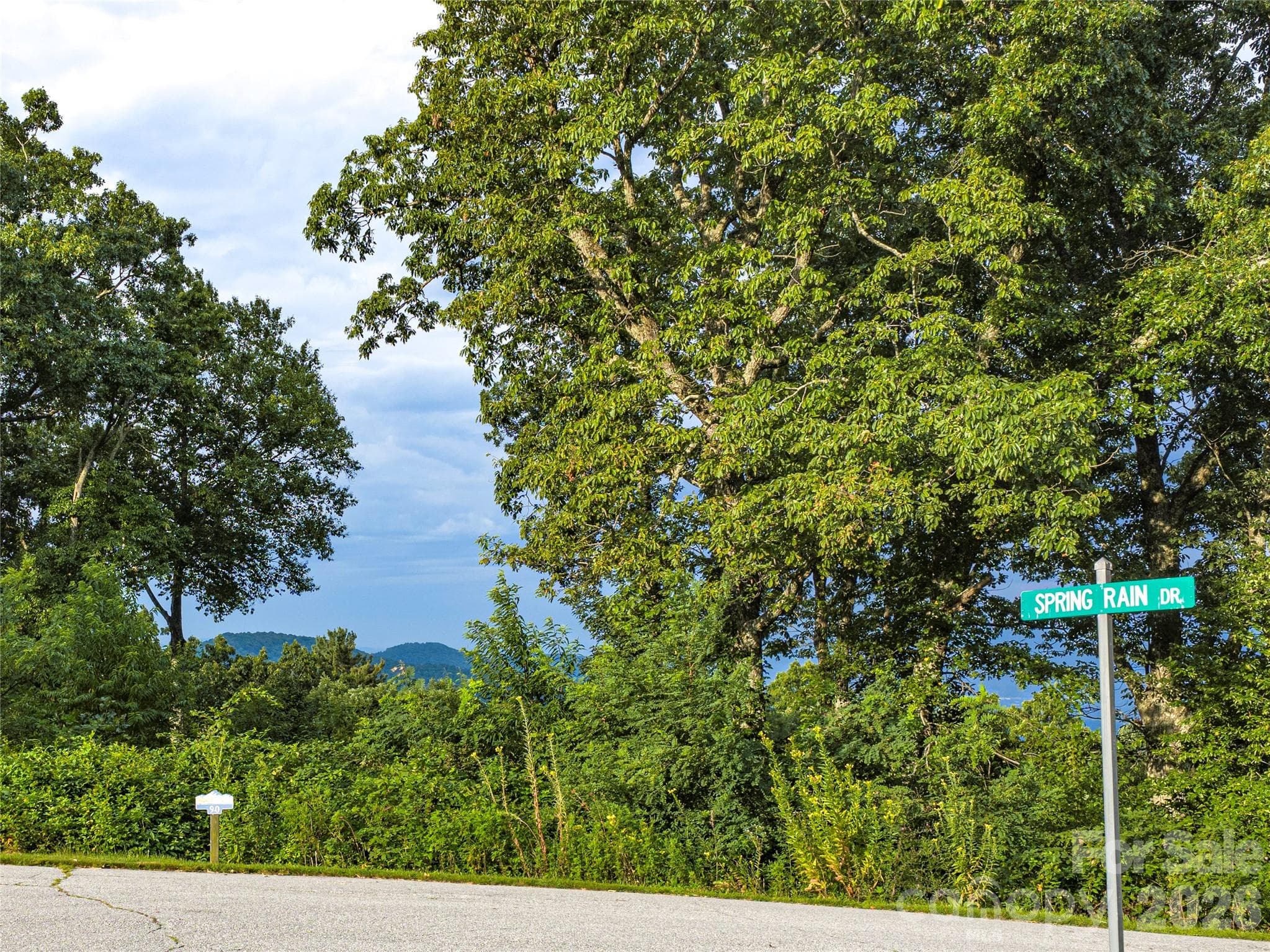 Lot at Lot #90 Summerset Drive, Hendersonville, photo 20 of 28