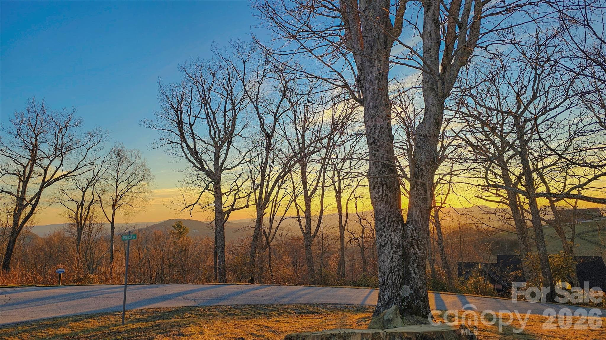 Wide shot of the parcel's  back - Lot #90 Summerset Drive, Hendersonville