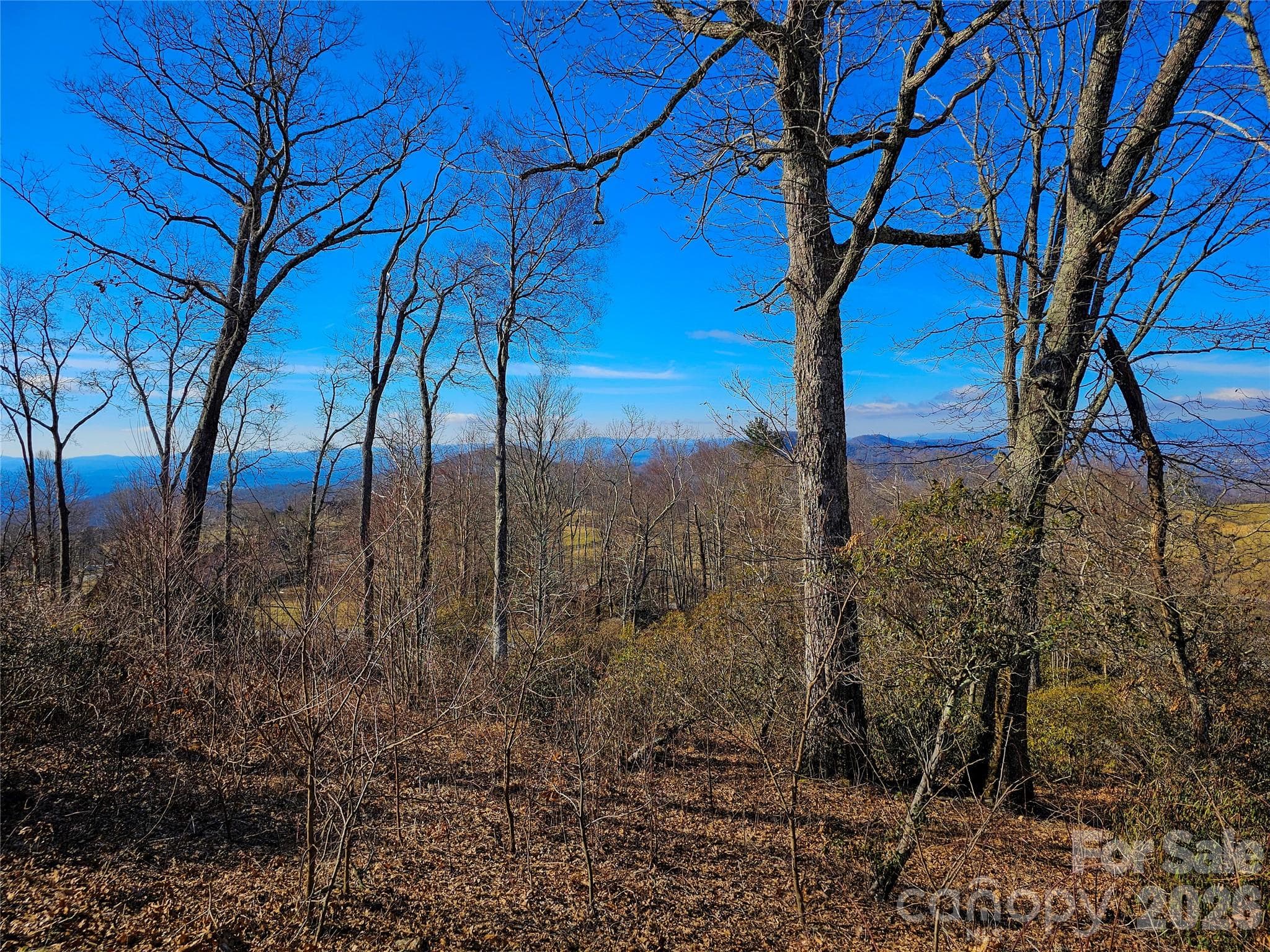 Lot at Lot #90 Summerset Drive, Hendersonville, photo 25 of 28