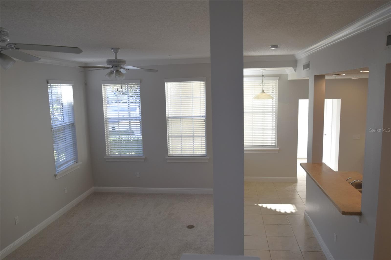 Spacious and ideal for entertaining. - 1352 LAKE BALDWIN LN #A, ORLANDO