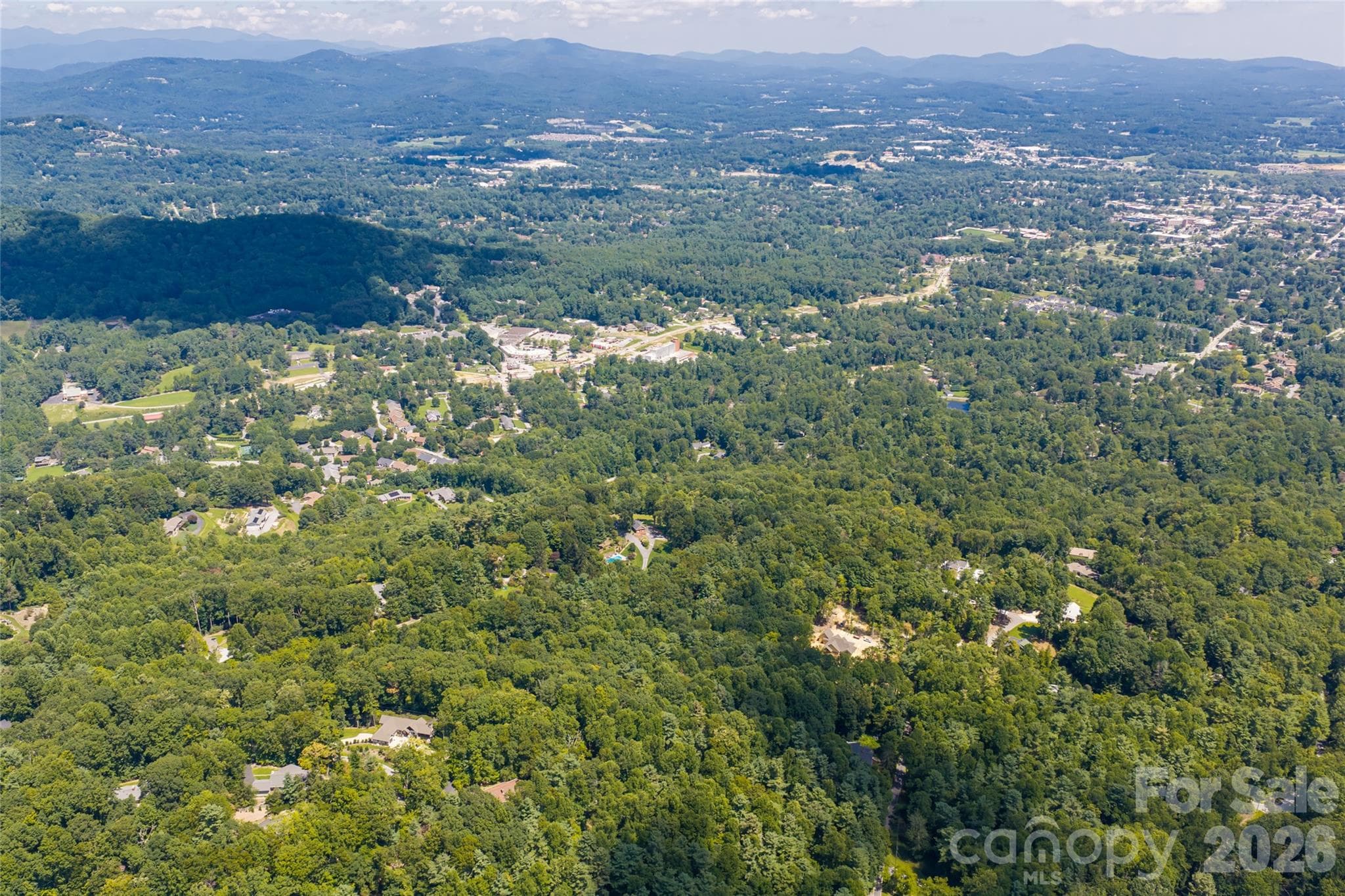 A row of Green Giants planted at the lower border of the property on Robinson Lane - 99999 Sabine Drive, Laurel Park