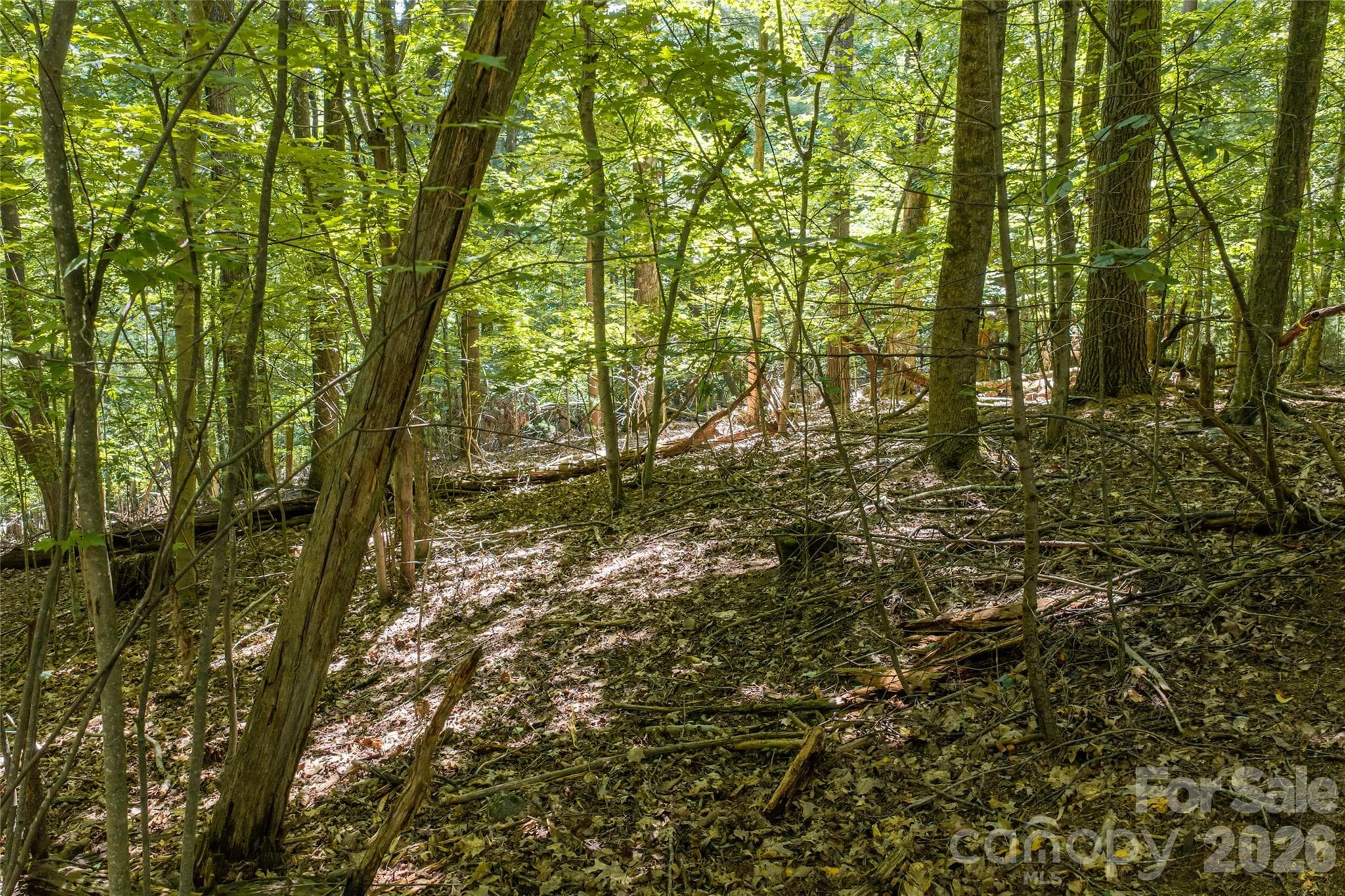 A completed, geotechnical survey, a favorable perc test as required from the town of Laurel Park, and traditional survey all available - 99999 Sabine Drive, Laurel Park