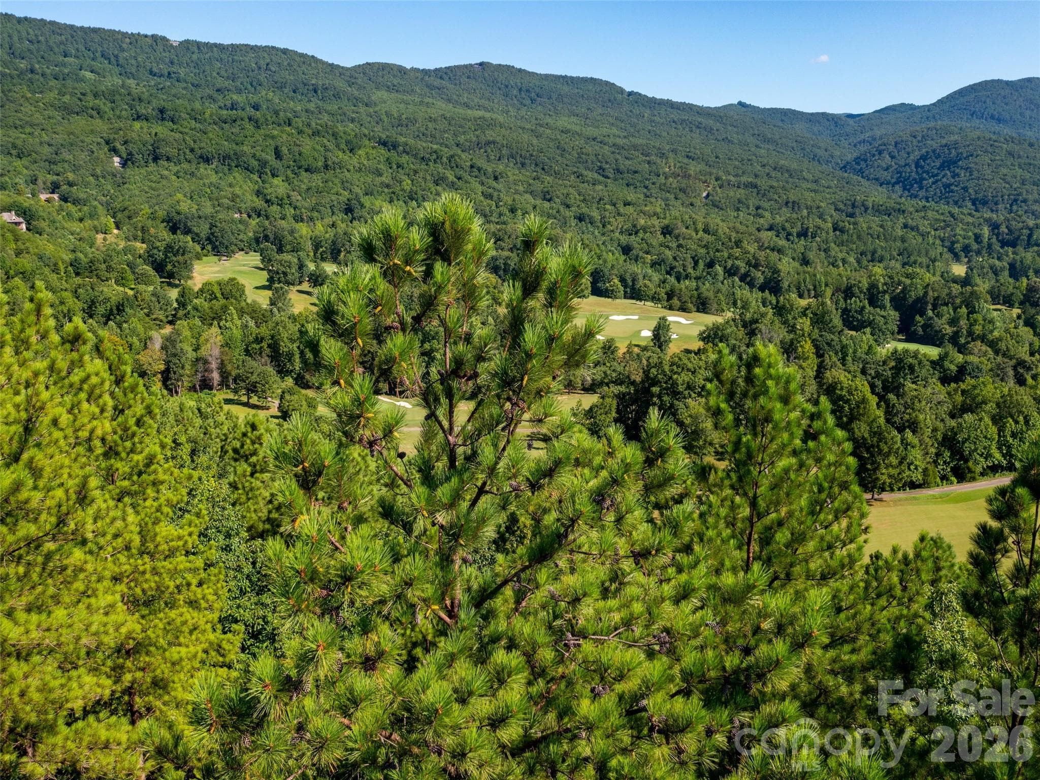 Single Family Residence at 2026 Deep Gap Farm Road E, Mill Spring, photo 11 of 19