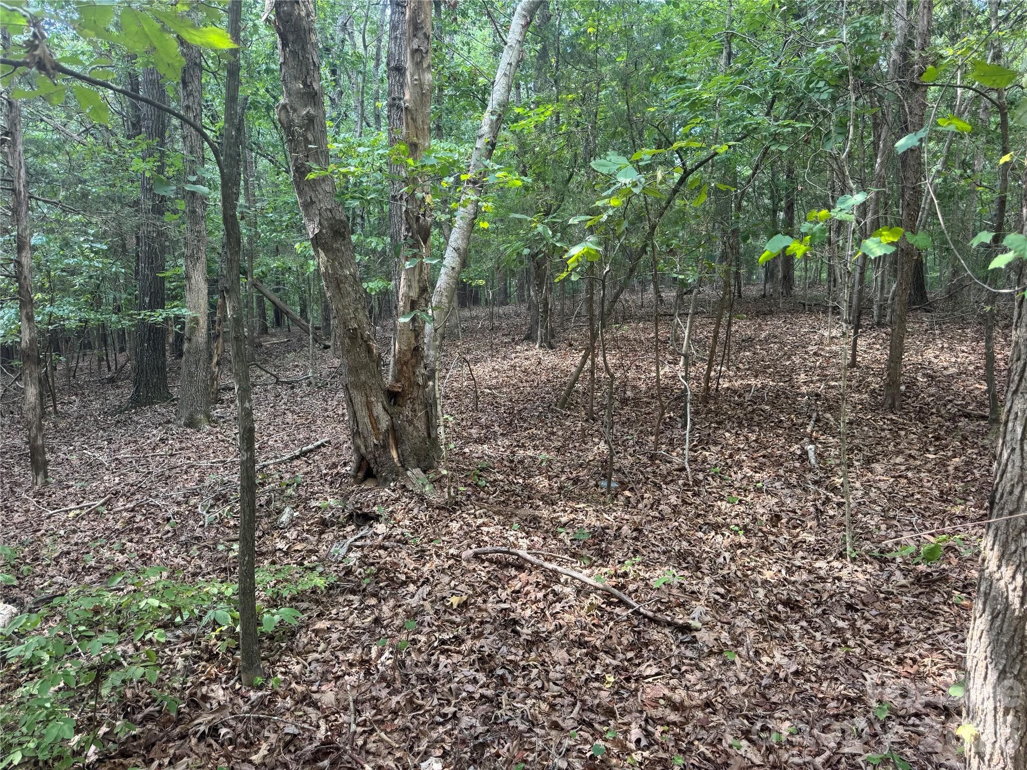 Acreage at 7.5 Acres Old Camden Monroe Highway, Lancaster, photo 3 of 5