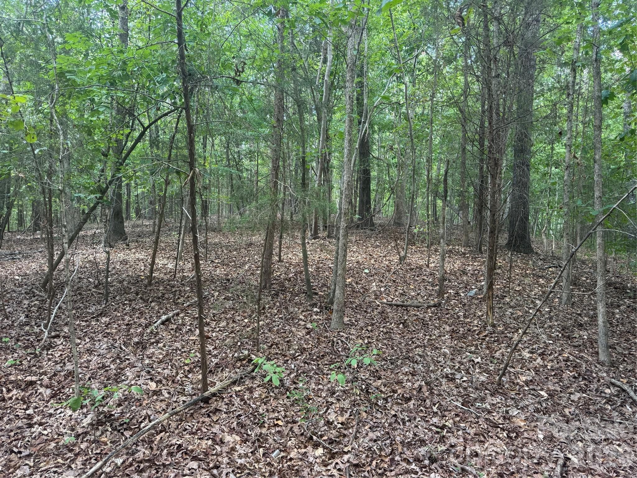 Acreage at 7.5 Acres Old Camden Monroe Highway, Lancaster, photo 4 of 5