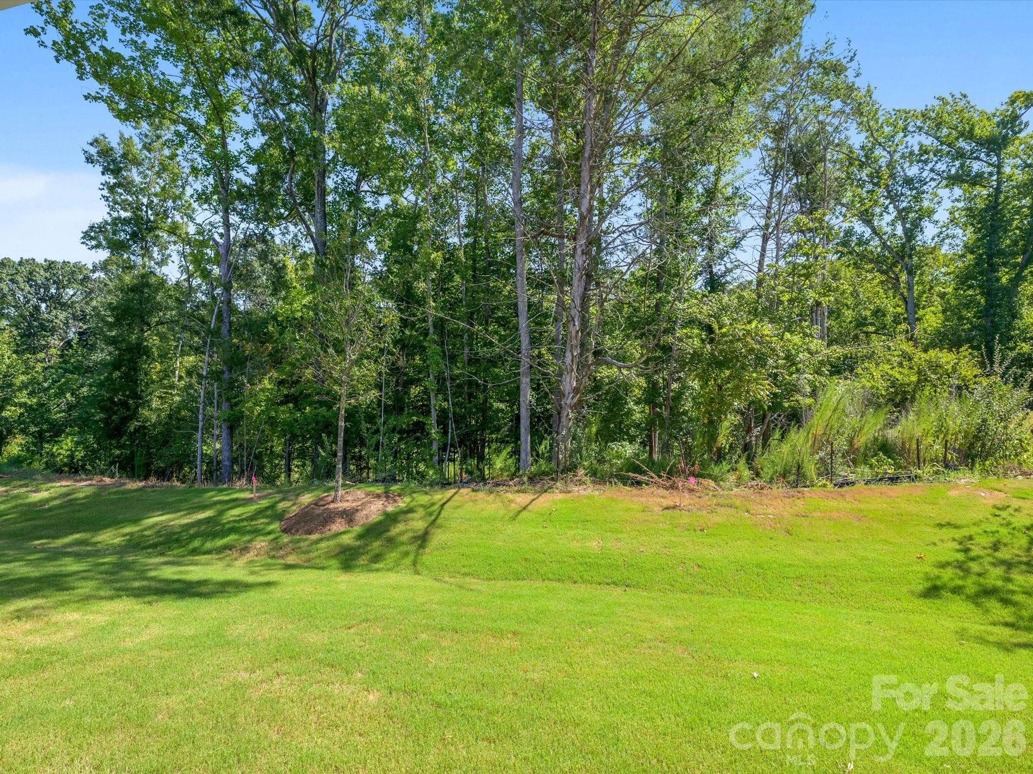 Private backyard overlooks protected nature preserve - 272 Alluvium Lane, Waxhaw