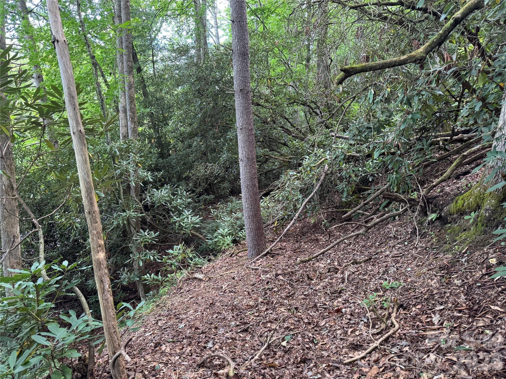 Acreage at 000 Wilson Road, Pisgah Forest, photo 4 of 41
