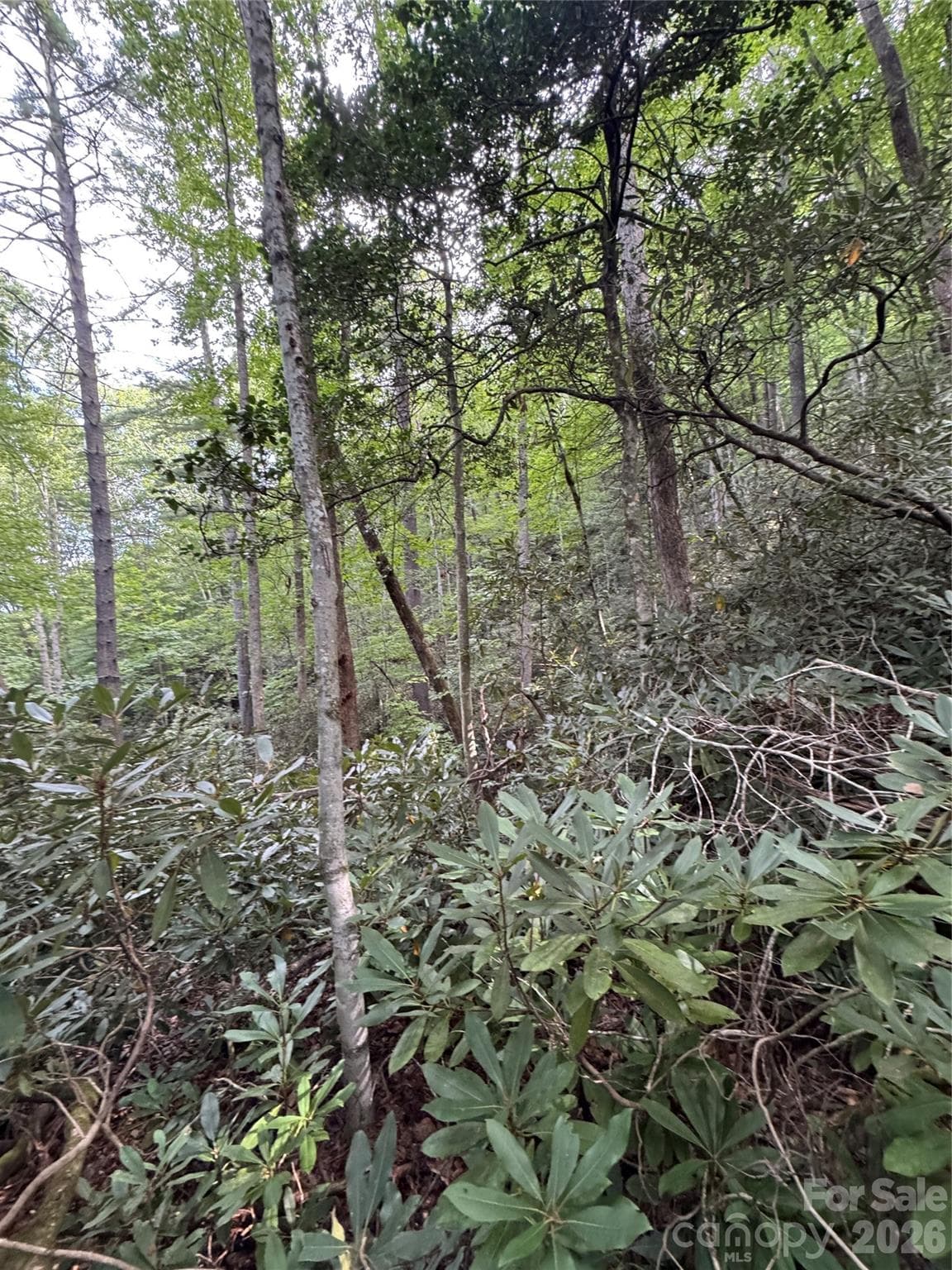 Acreage at 000 Wilson Road, Pisgah Forest, photo 27 of 41