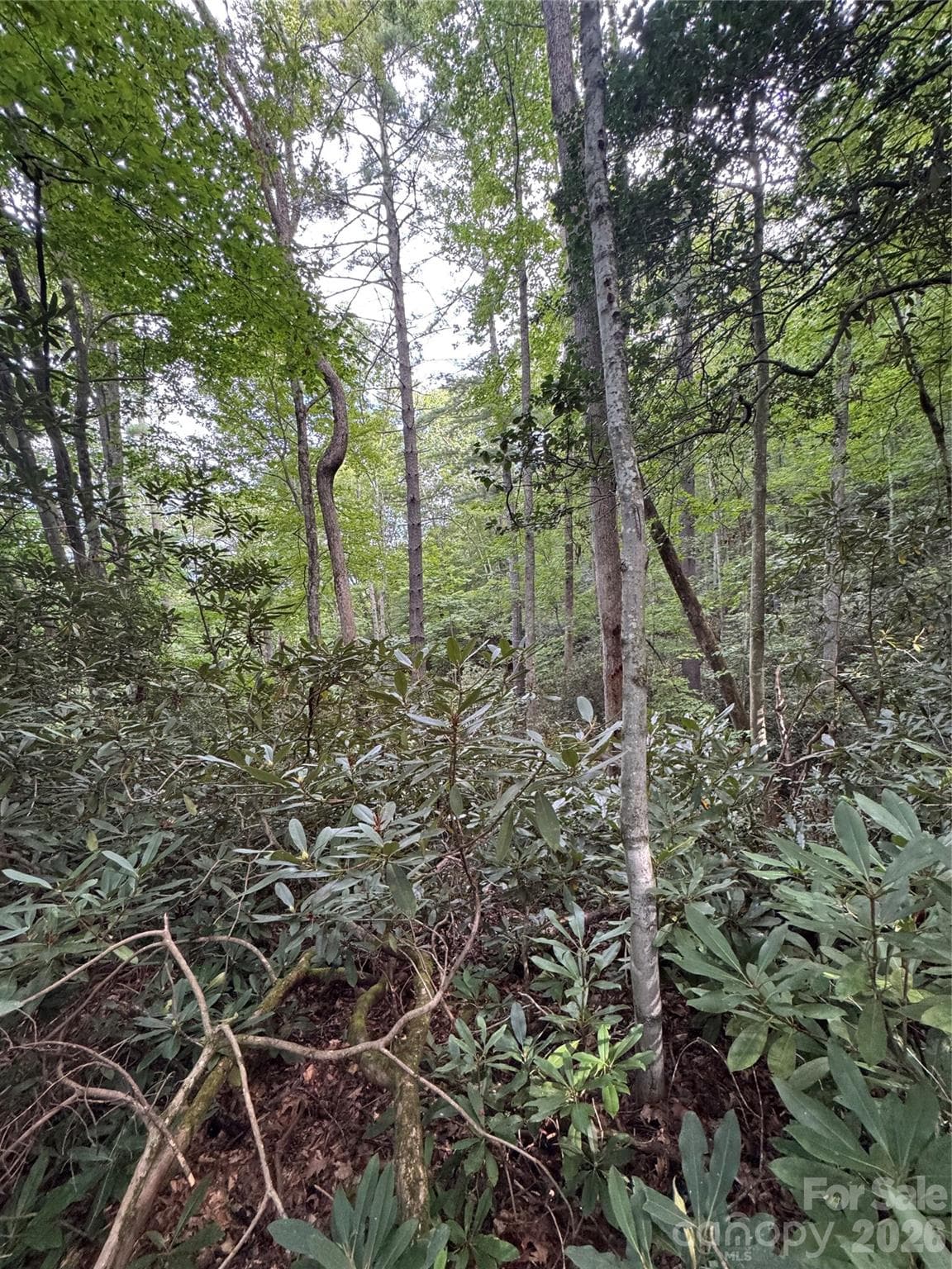 Acreage at 000 Wilson Road, Pisgah Forest, photo 29 of 41