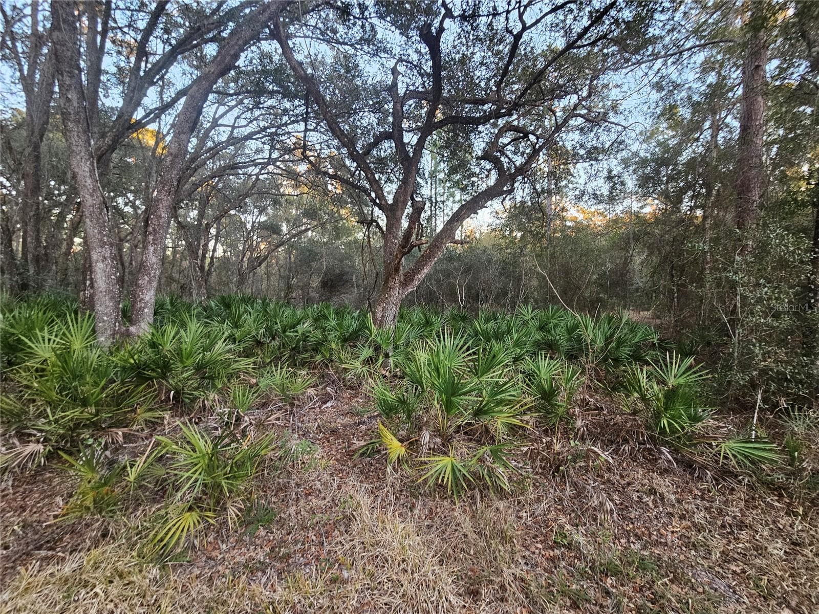 Land at ROSEHILL DR, WEBSTER, photo 2 of 6